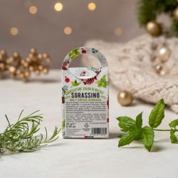 Sgrassino - Christmas Edition Solid Degreaser